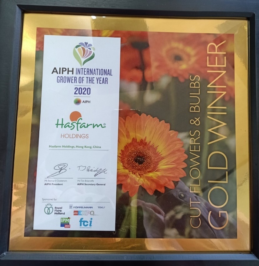 Hasfarm Holdings anh 2