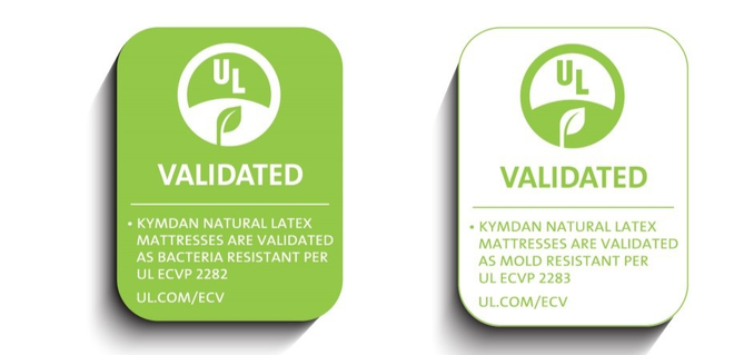 sinh nhat 66 nam anh 2