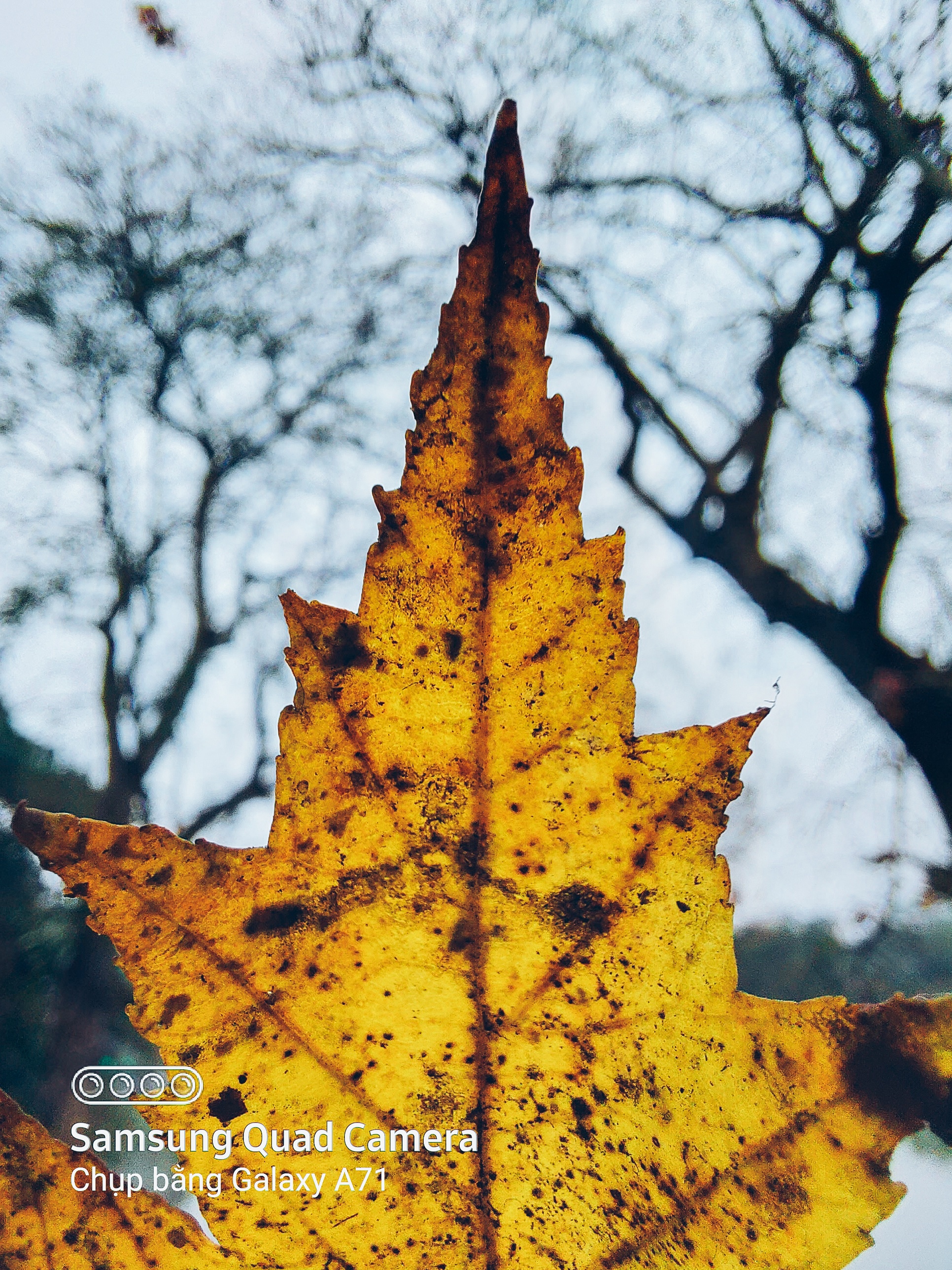 samsung ảnh 1 samsung anh 1