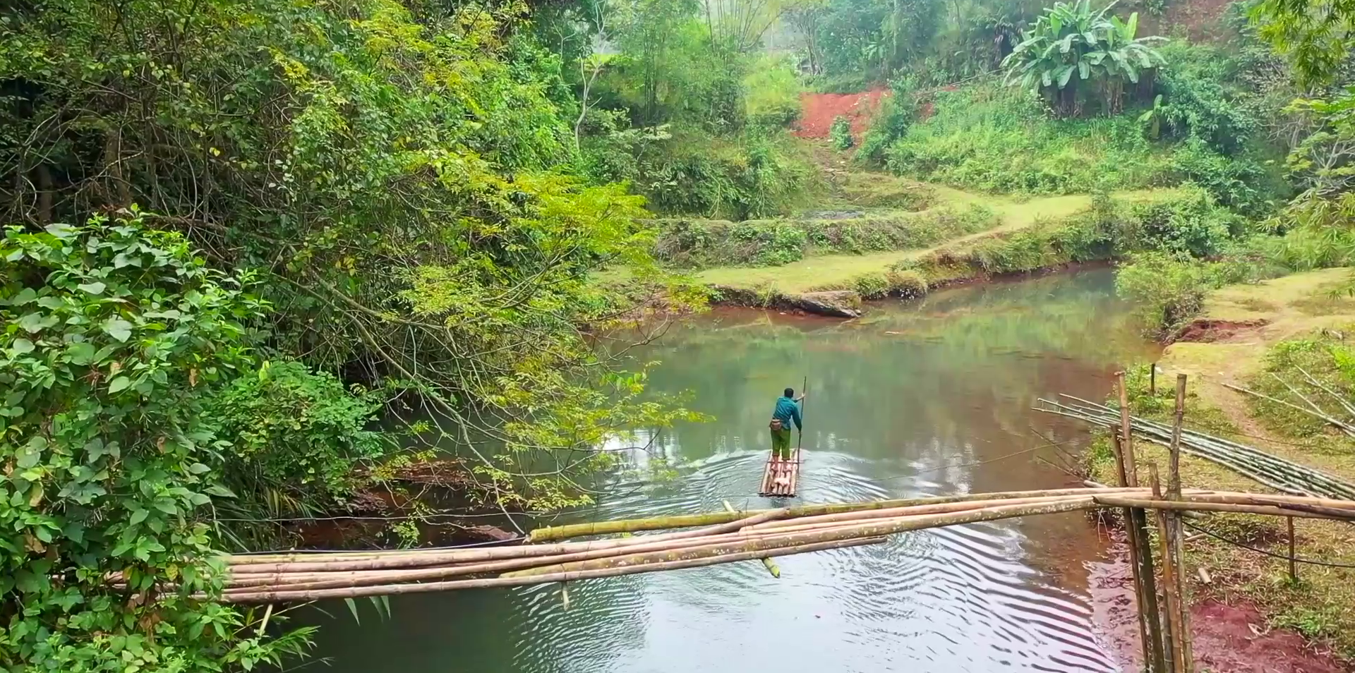 POPS ảnh 1 POPS anh 1