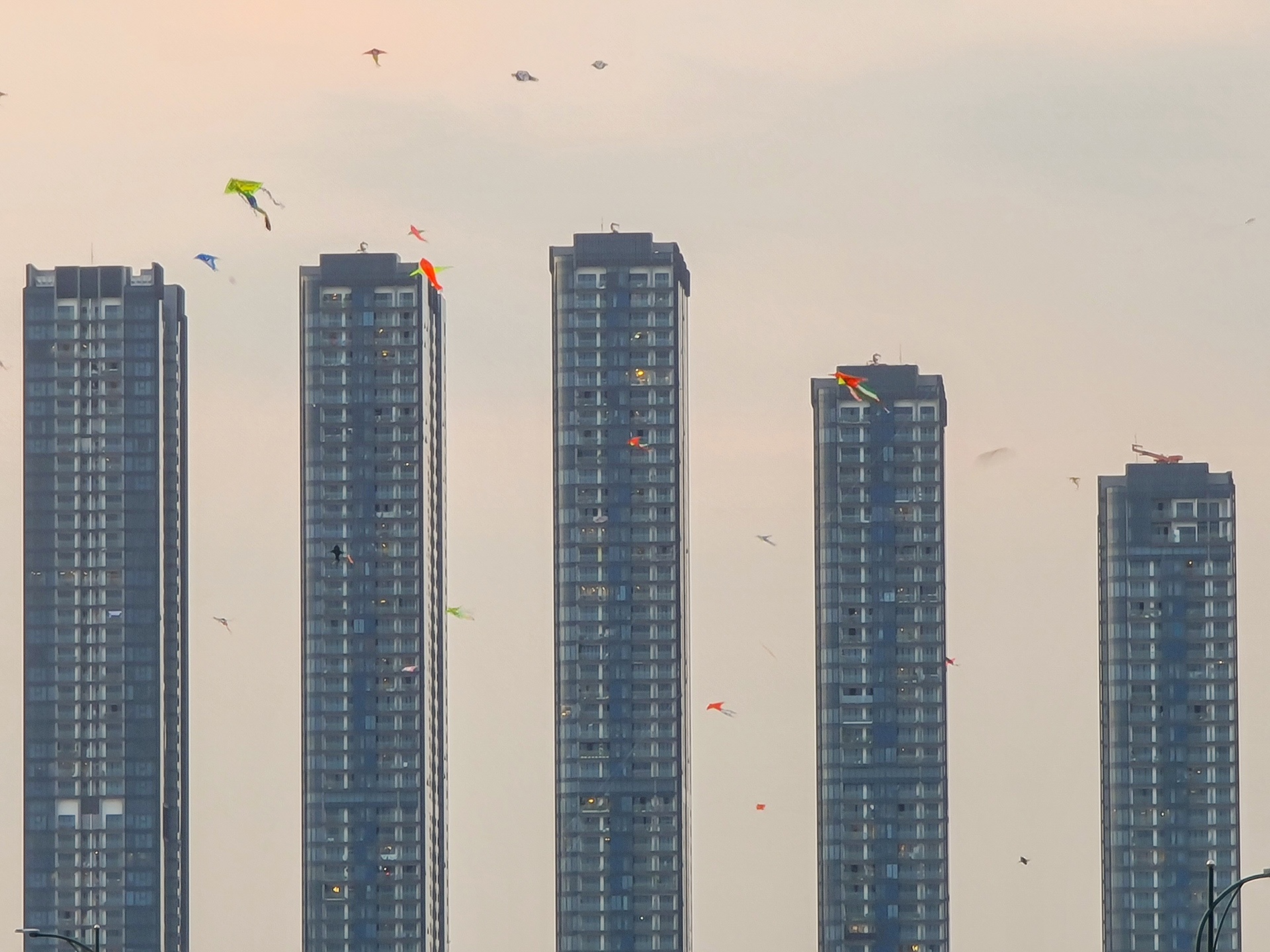 S20 ảnh 14 S20 anh 14