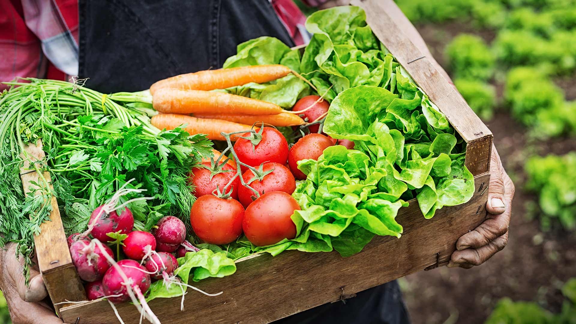 NAN Organic ảnh 1 NAN Organic anh 1