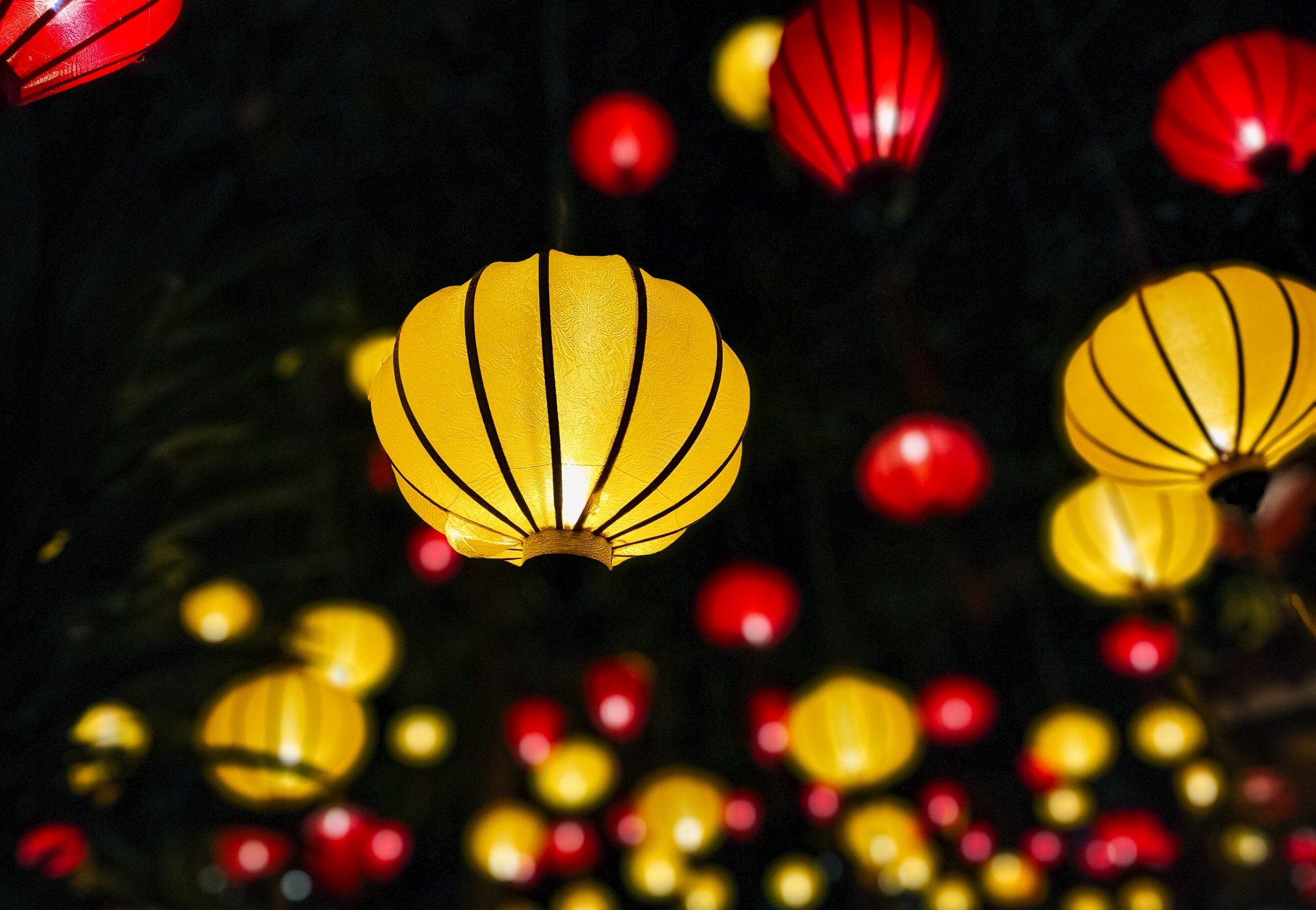 Oppo ảnh 3 Oppo anh 3