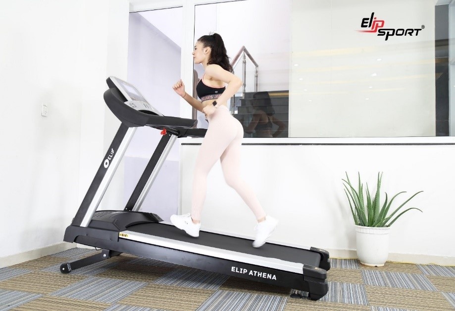 Elipsport anh 1