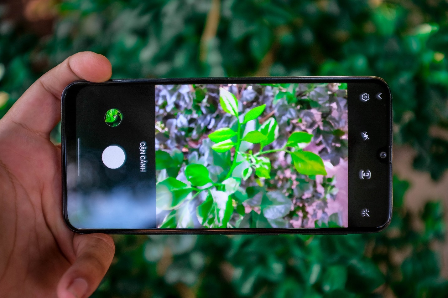 Samsung Galaxy M31 pin 6.000 mAh anh 2