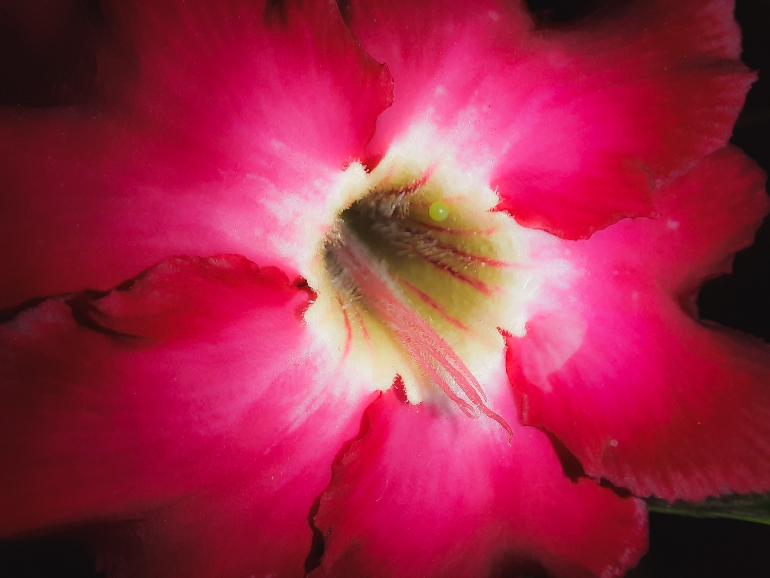 Samsung Galaxy M31 pin 6.000 mAh anh 10