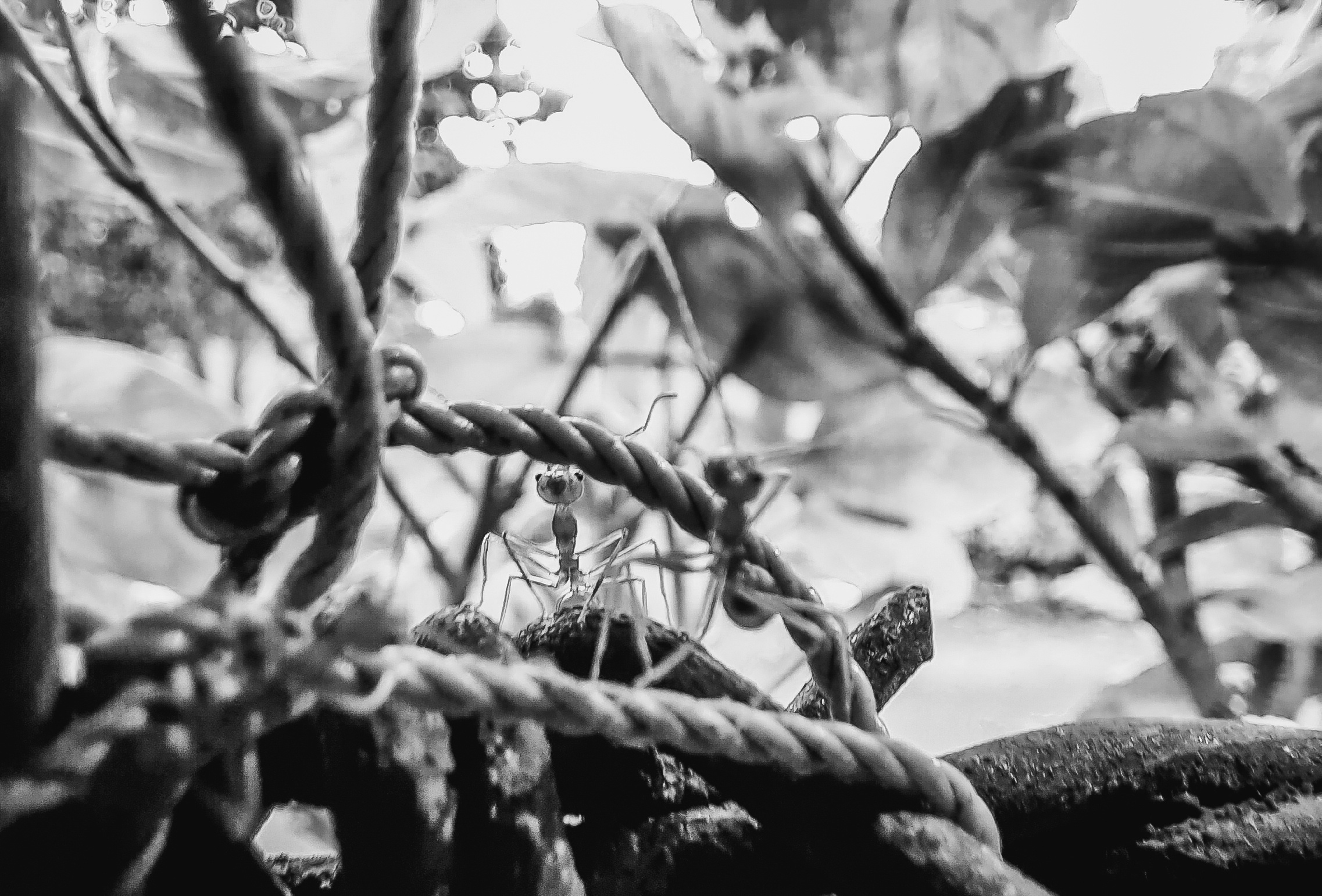 Samsung Galaxy M31 pin 6.000 mAh anh 14