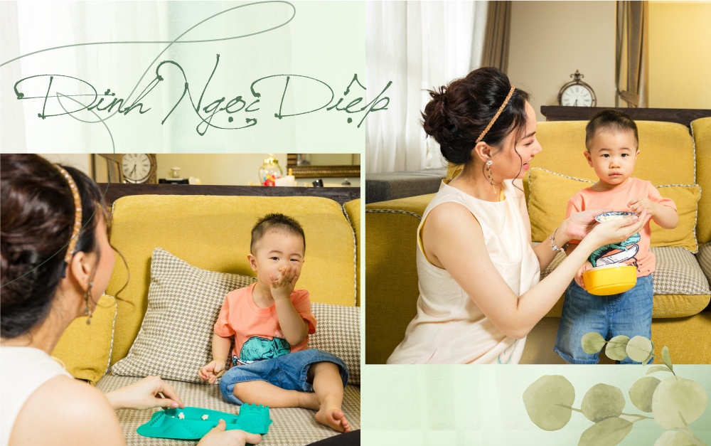 Dinh Ngoc Diep,  banh an dam Gerber anh 1