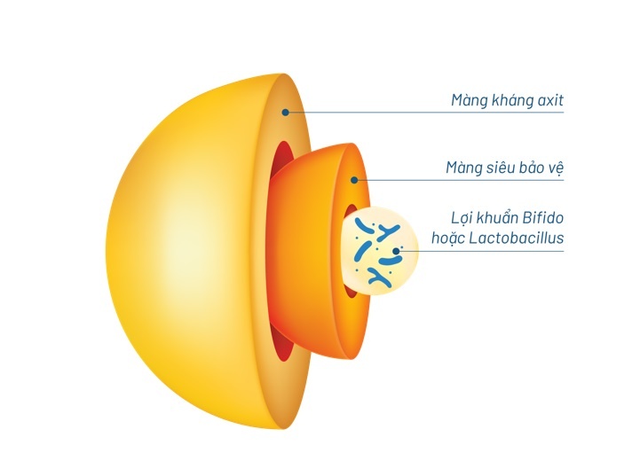 Bifina ảnh 2 Bifina anh 2