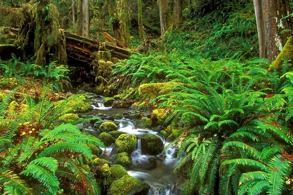 Du lịch Việt Nam ảnh 10 Du lich Viet Nam anh 10