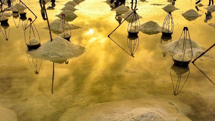 Du lịch Việt Nam ảnh 7 Du lich Viet Nam anh 7