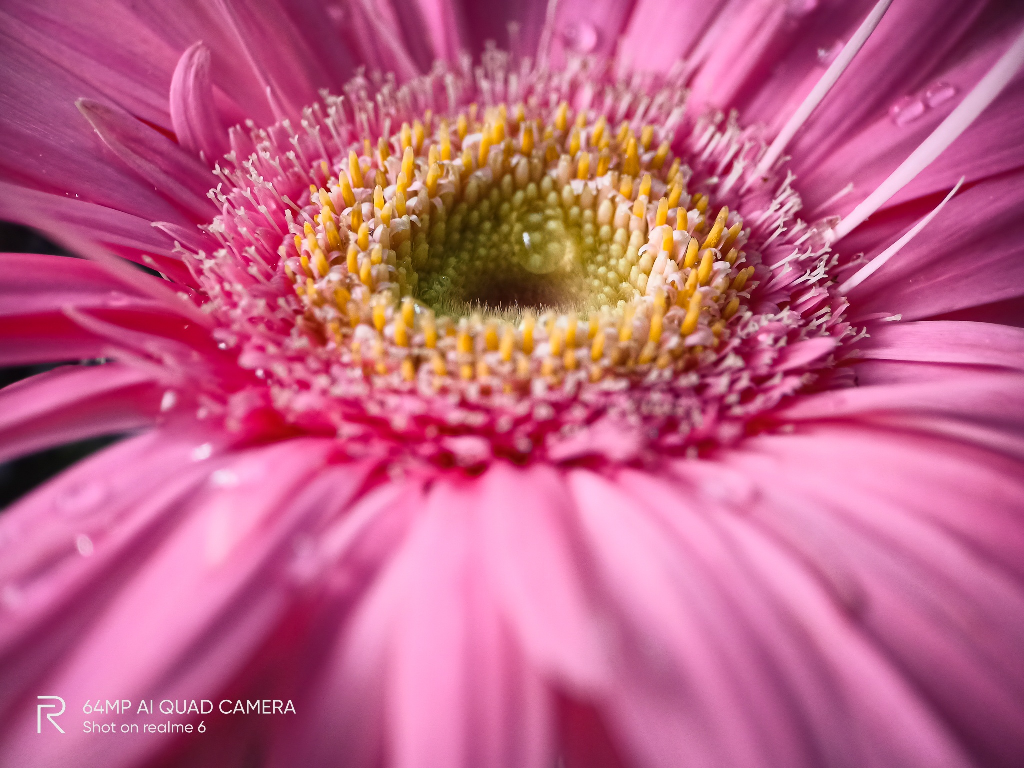 realme ảnh 4 realme anh 4