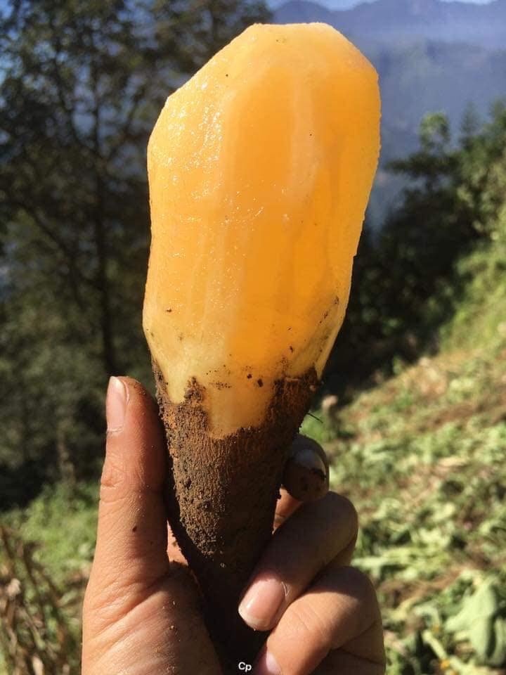 nuoc giai khat Long Hai anh 2