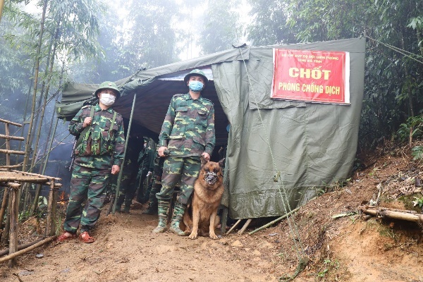 Gop suc nho xay vanh dai chong dich hinh anh