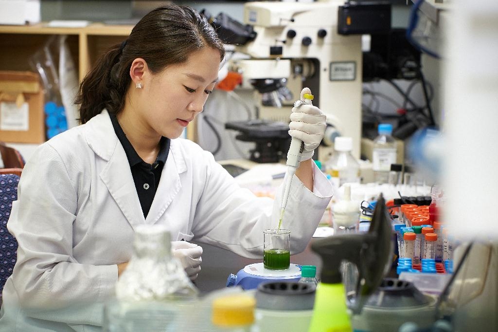 Let's go overseas anh 2