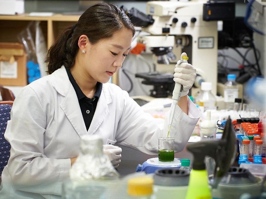 Covid-19 da thay doi xu huong du hoc Han Quoc the nao? hinh anh