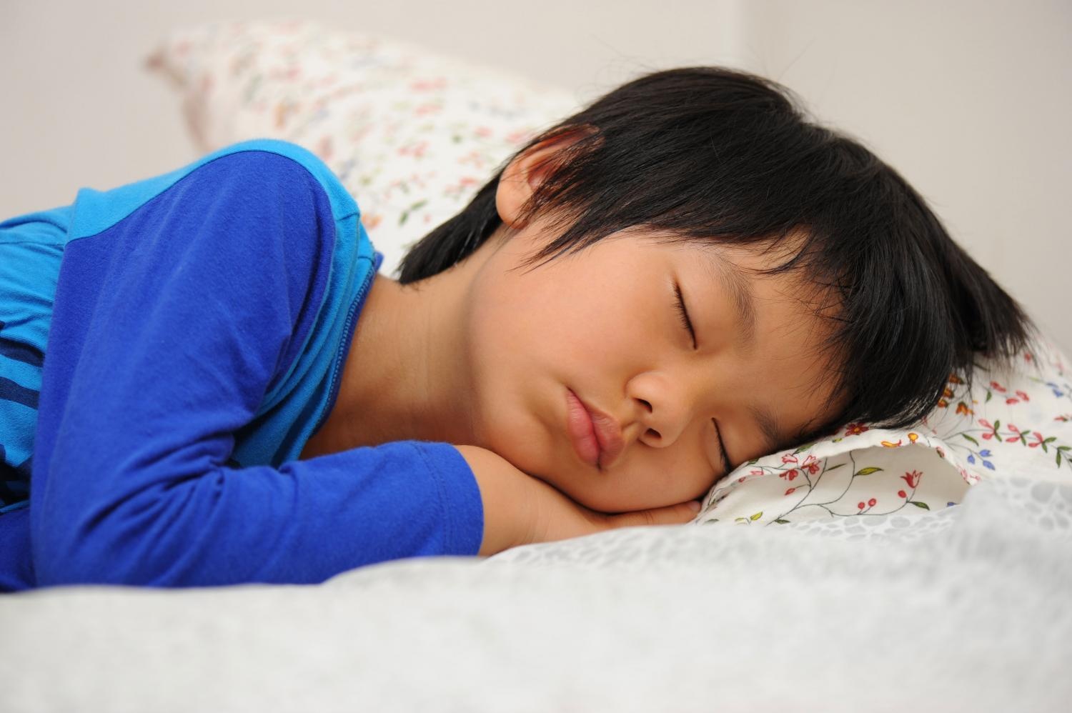 Cô Gái Hà Lan ảnh 1 Co Gai Ha Lan anh 1