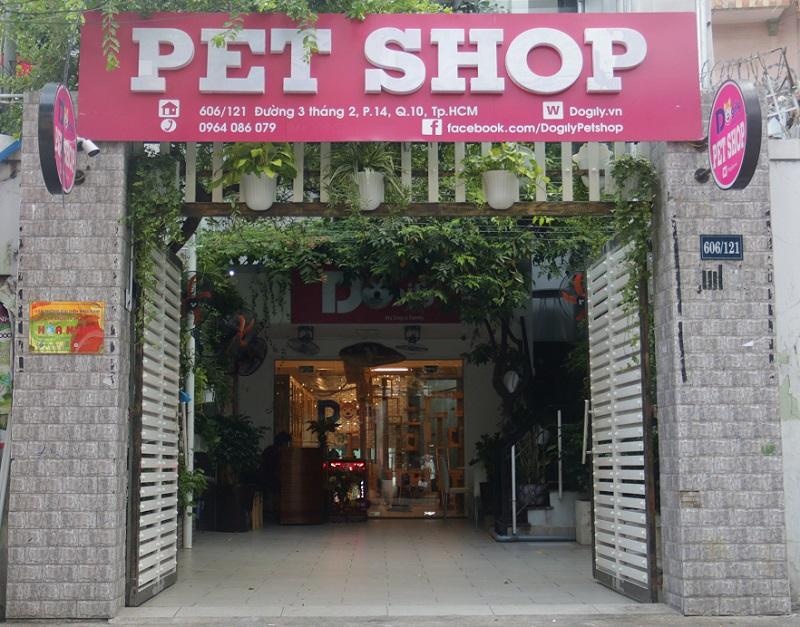 Nuôi mèo ảnh 3 Nuoi meo anh 3