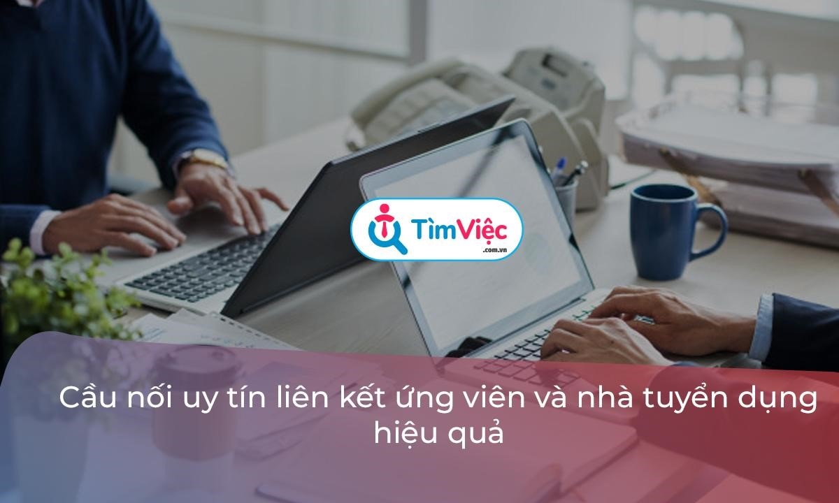 timviec.com.vn anh 2