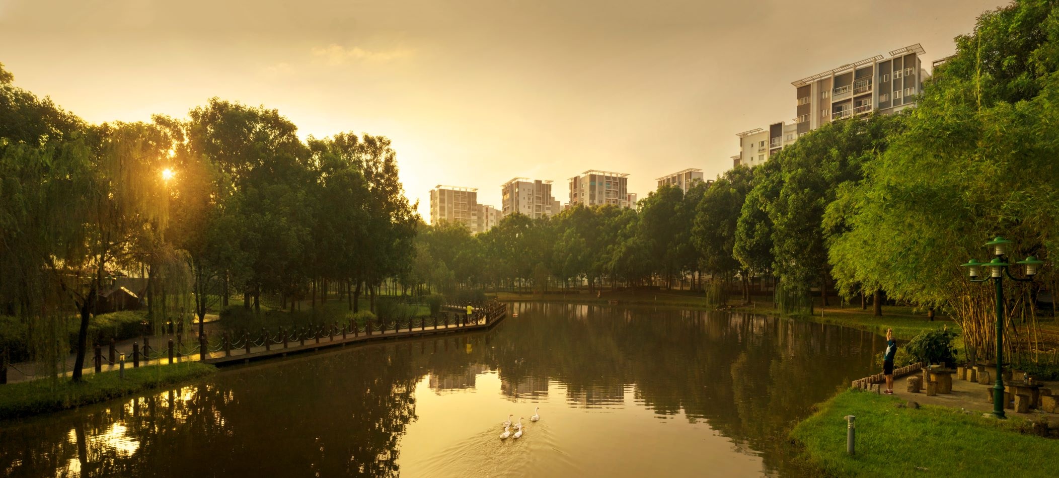 xu huong song xanh anh 2