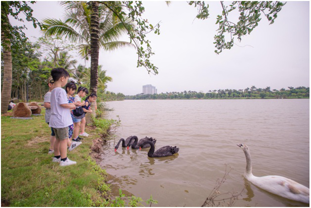 Ecopark anh 5