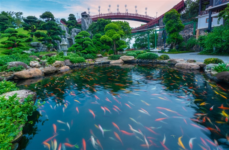 du lịch Hạ Long ảnh 3 du lich Ha Long anh 3