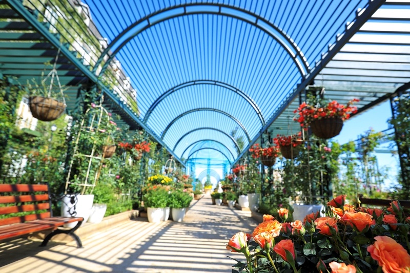 Bà Nà Hills ảnh 3 Ba Na Hills anh 3