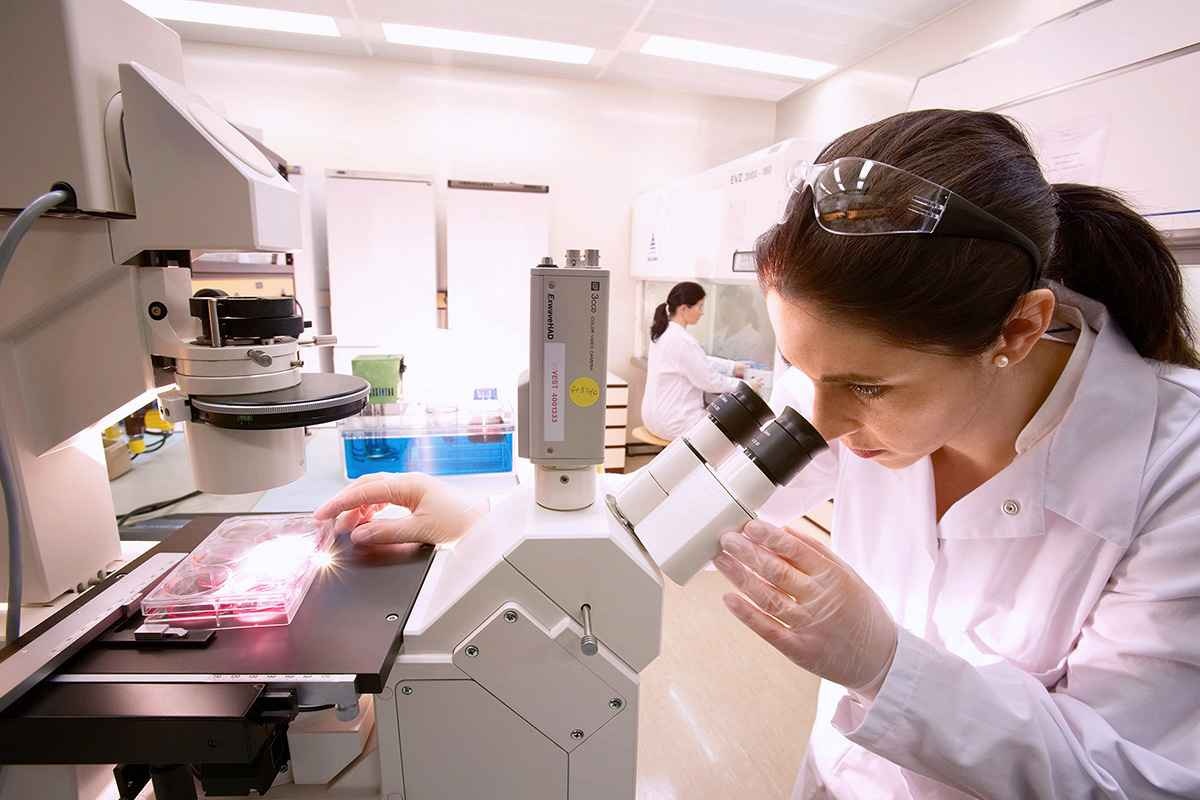 HMOs ảnh 1 HMOs anh 1