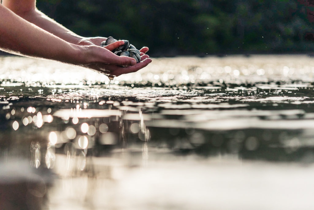 du hoc thac si kinh doanh anh 2