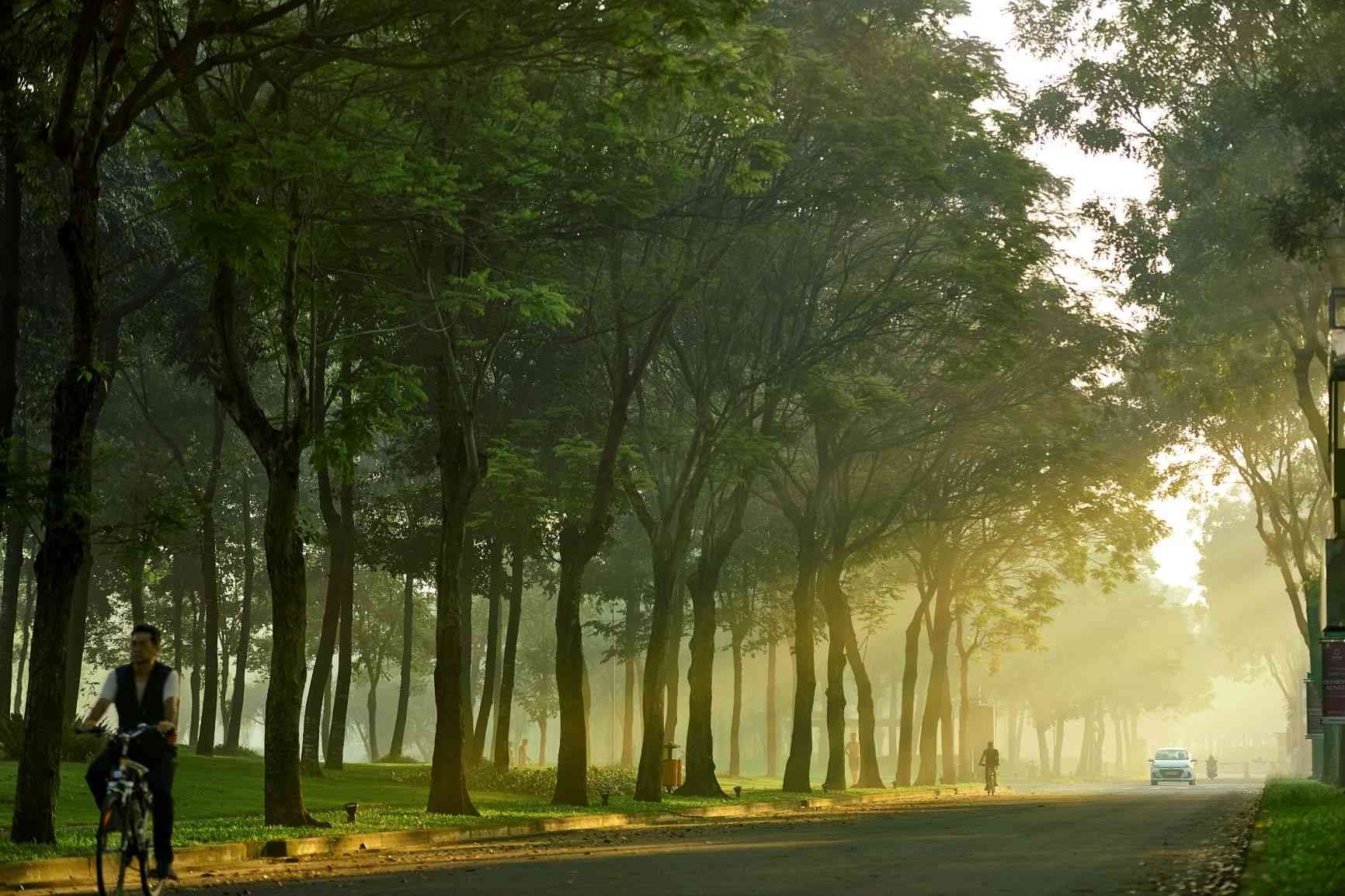 Gamuda ảnh 3 Gamuda anh 3