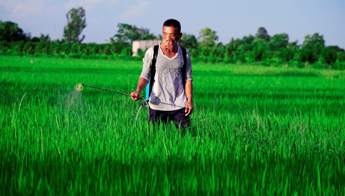 JW  ảnh 4 JW anh 4