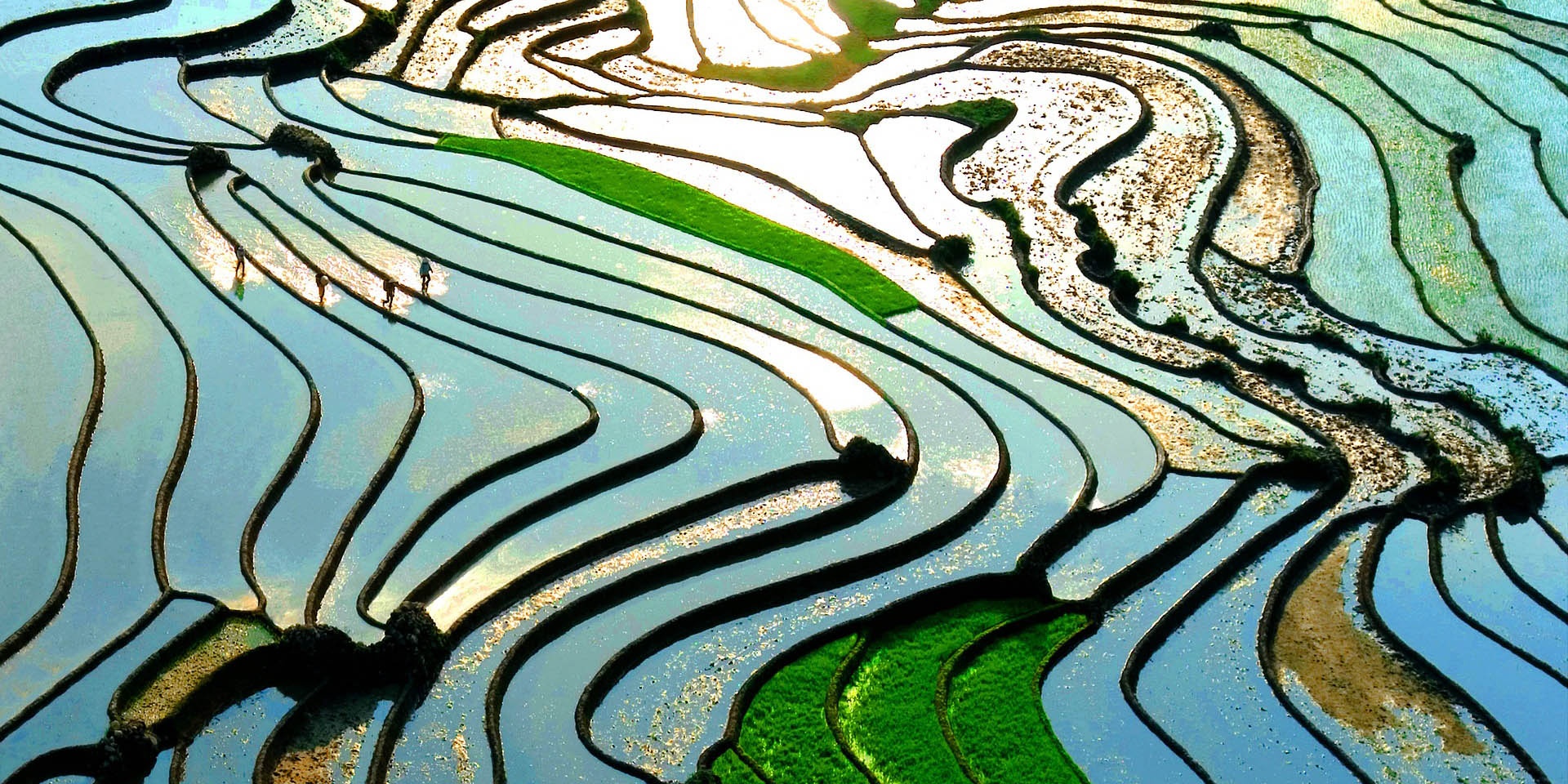 De la Coupole,  MGallery anh 4