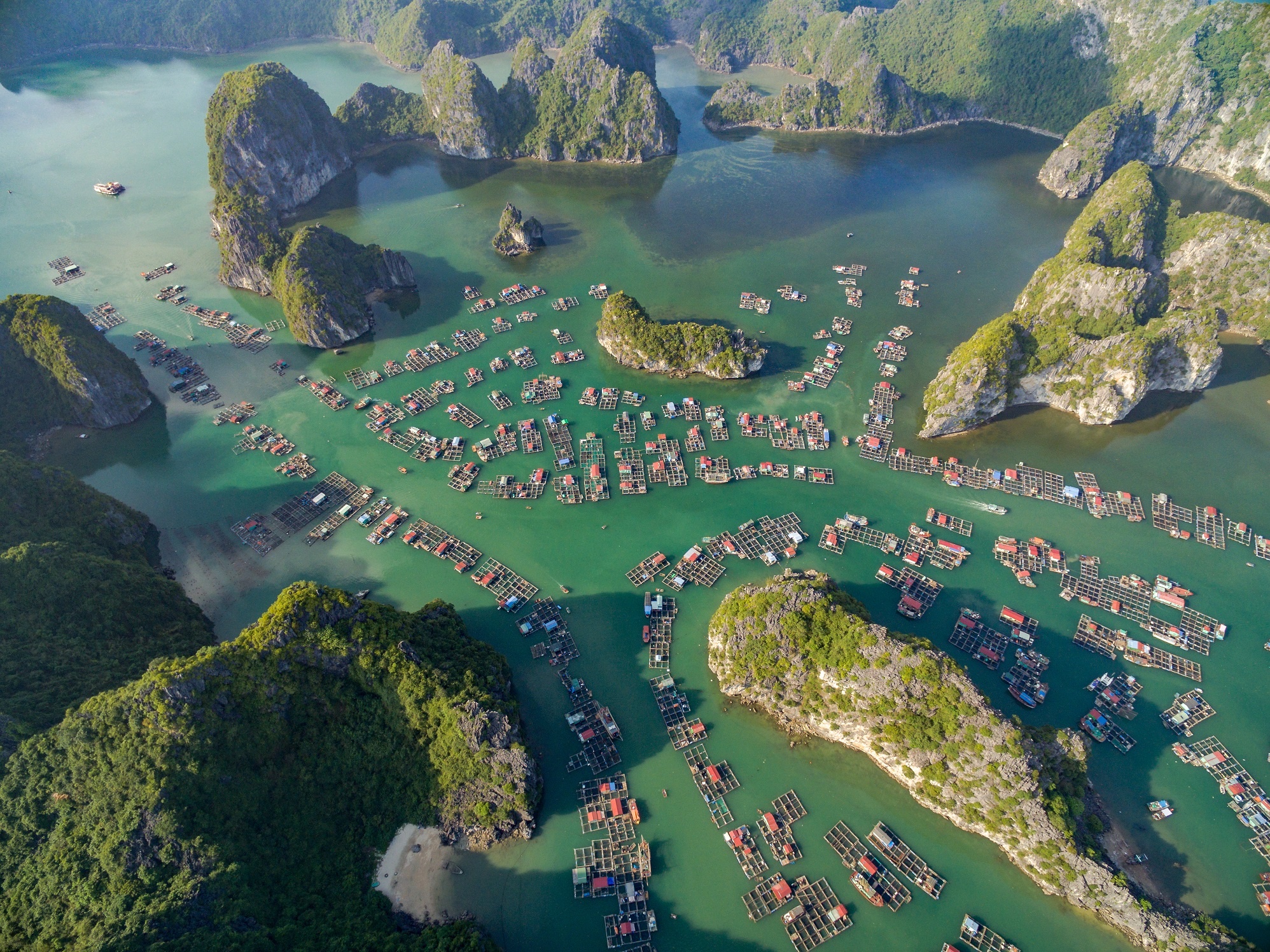 Du lich nghi duong bien ket hop kham pha dao Cat Ba hinh anh