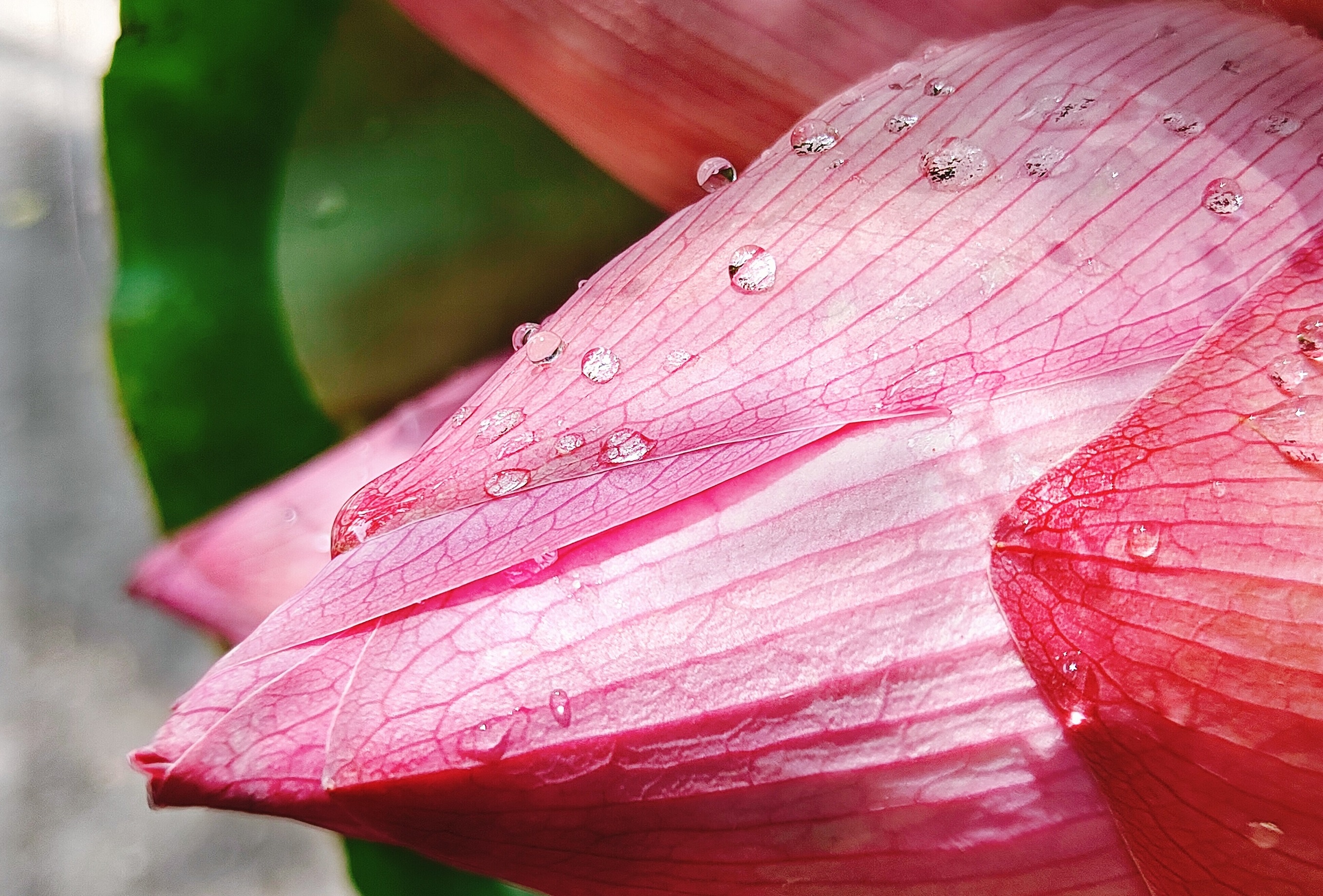 Ha Noi vao ha qua goc may Bphone B86 hinh anh