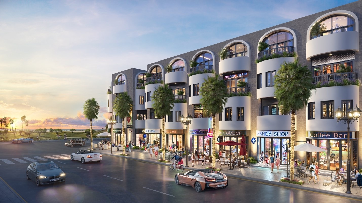 Tiem nang phat trien du lich bien khi mo rong KTT Nhon Hoi hinh anh