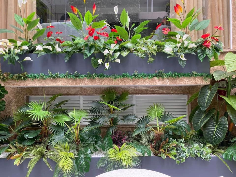 VSGreen mang khong gian xanh vao cuoc song moi gia dinh hinh anh