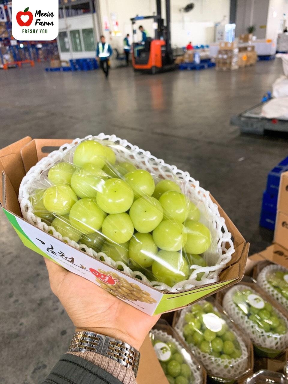 nho Hàn Quốc ảnh 2 nho Han Quoc anh 2