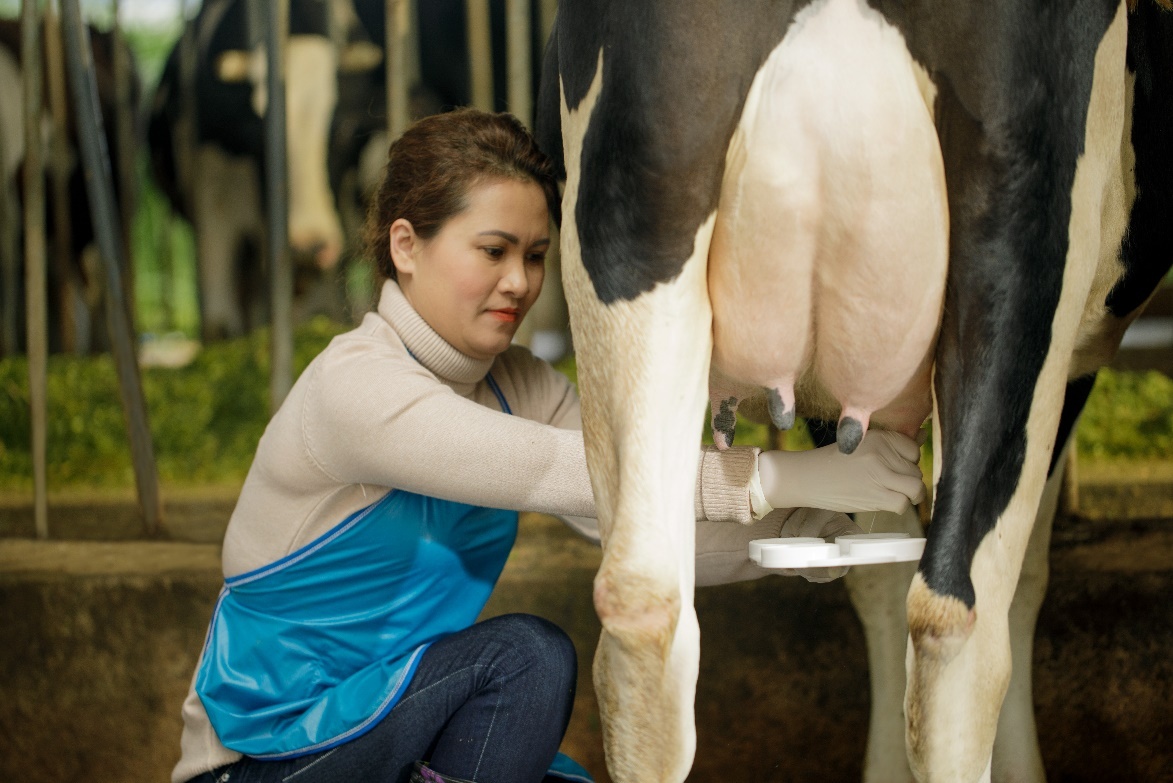 sua tuoi Co Gai Ha Lan anh 2