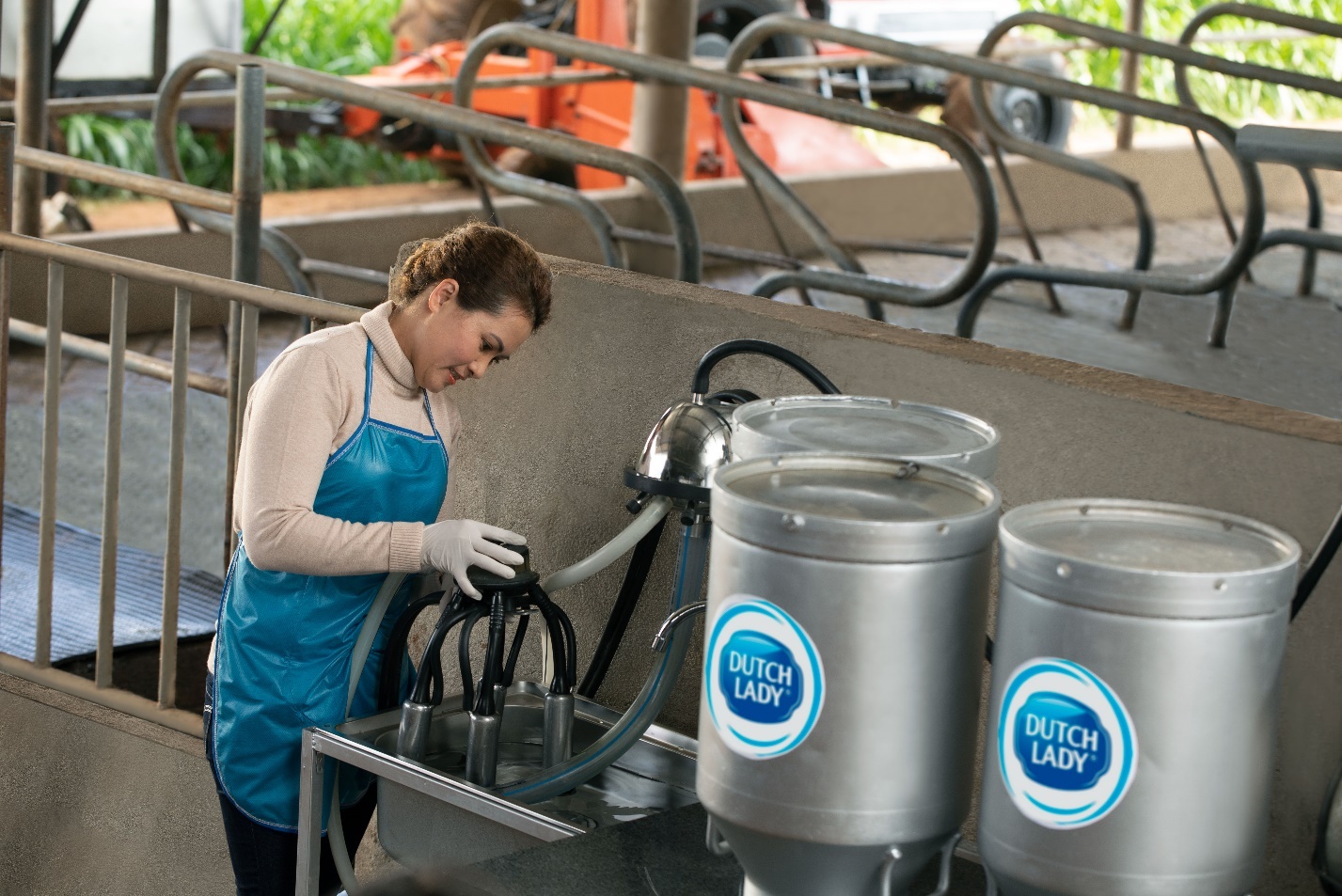 sua tuoi Co Gai Ha Lan anh 4