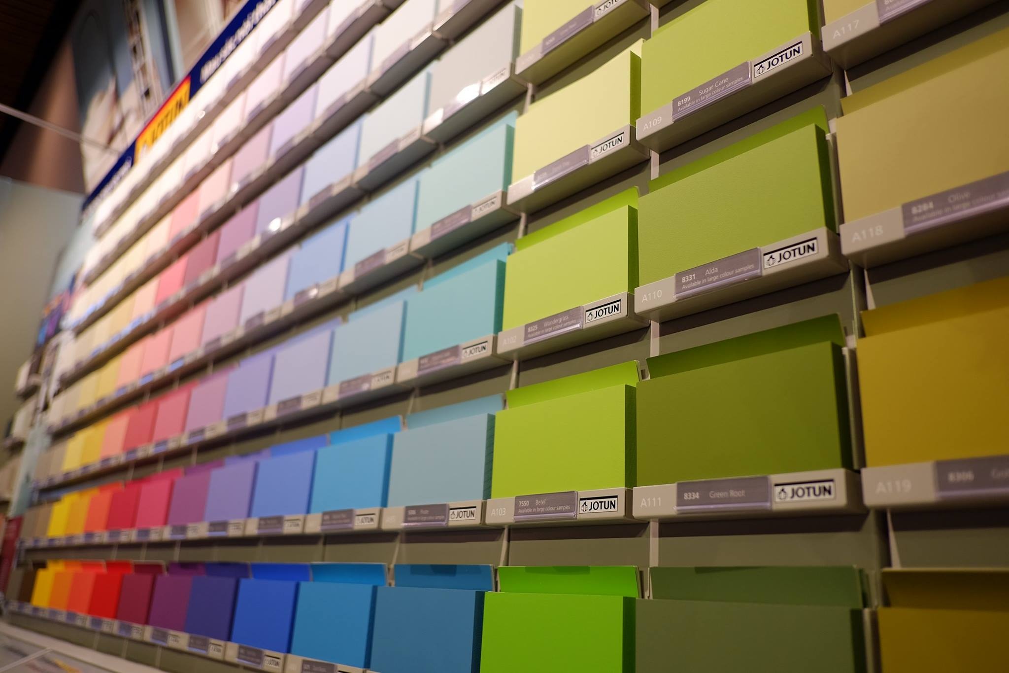 son ngoai that anh 2