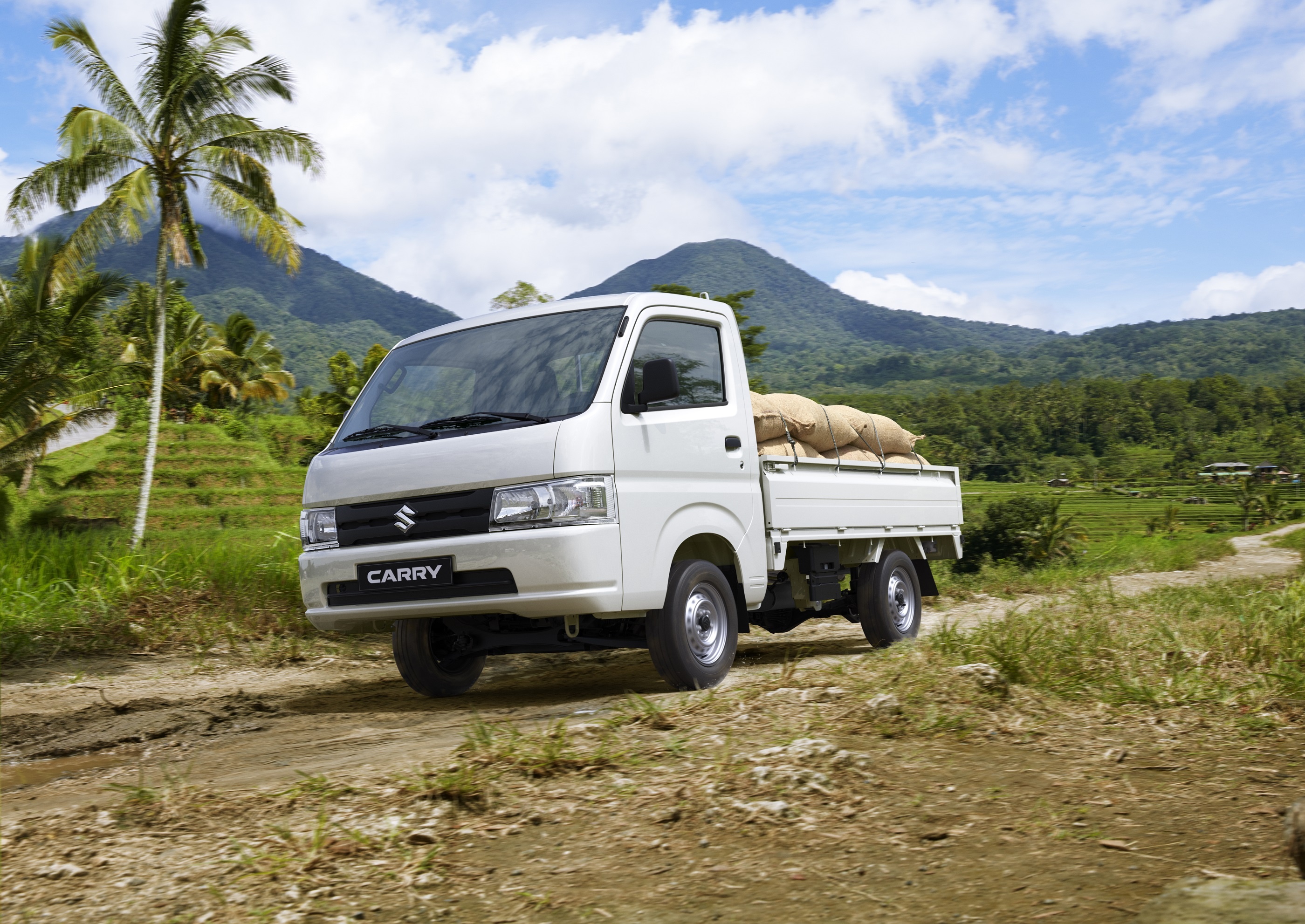 Suzuki ảnh 1 Suzuki anh 1