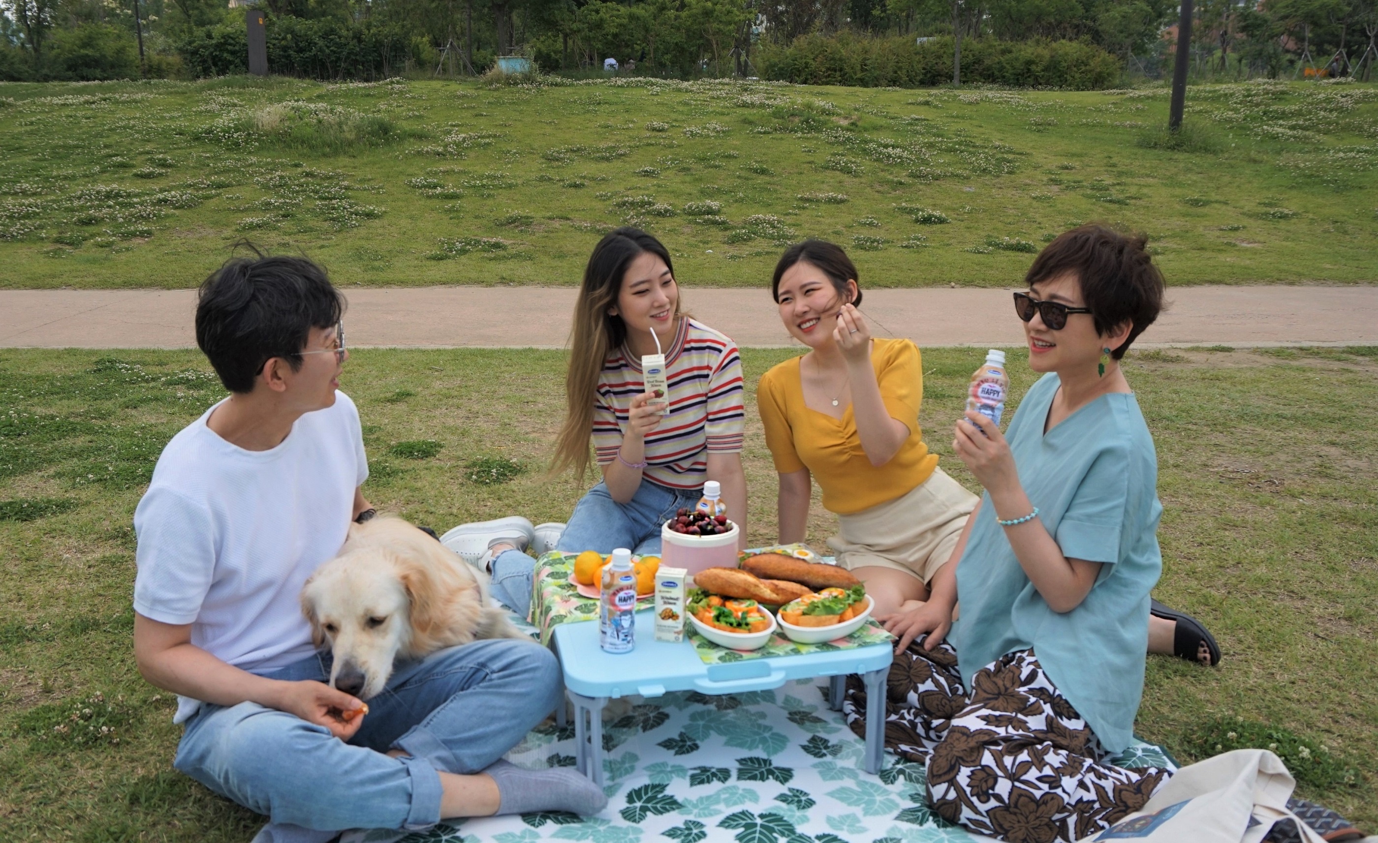 3 ly do Vinamilk dat ky vong vao dong sua hat xuat khau sang Han Quoc hinh anh