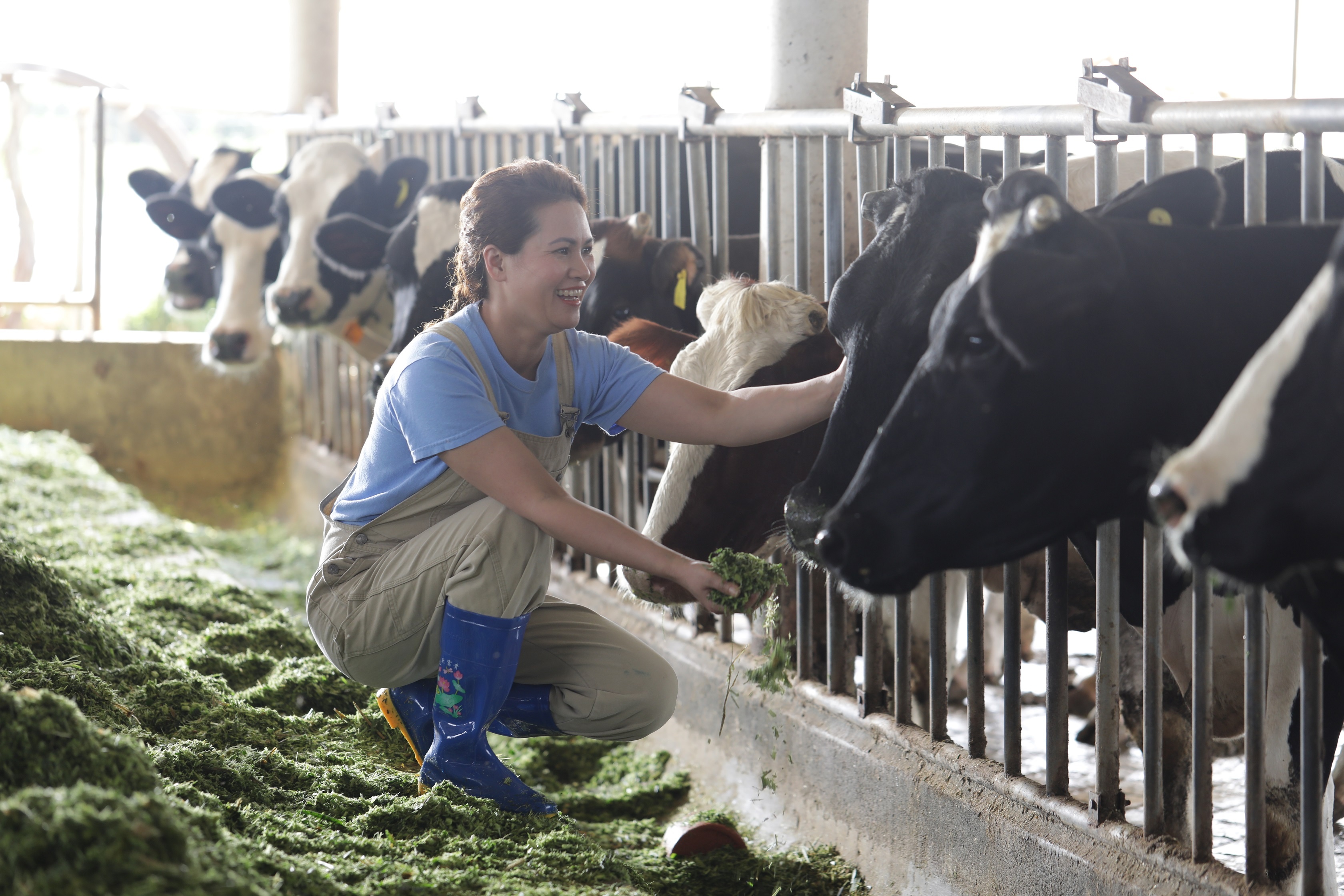 sua tuoi Co Gai Ha Lan anh 4