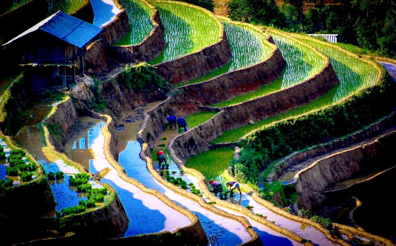 Tú Lệ ảnh 2 Tu Le anh 2