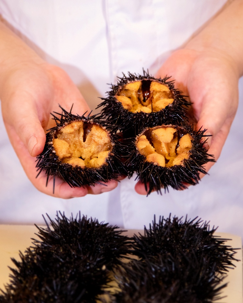 sashimi ảnh 7 sashimi anh 7