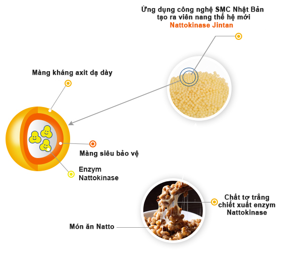 Nattokinase Jintan anh 2