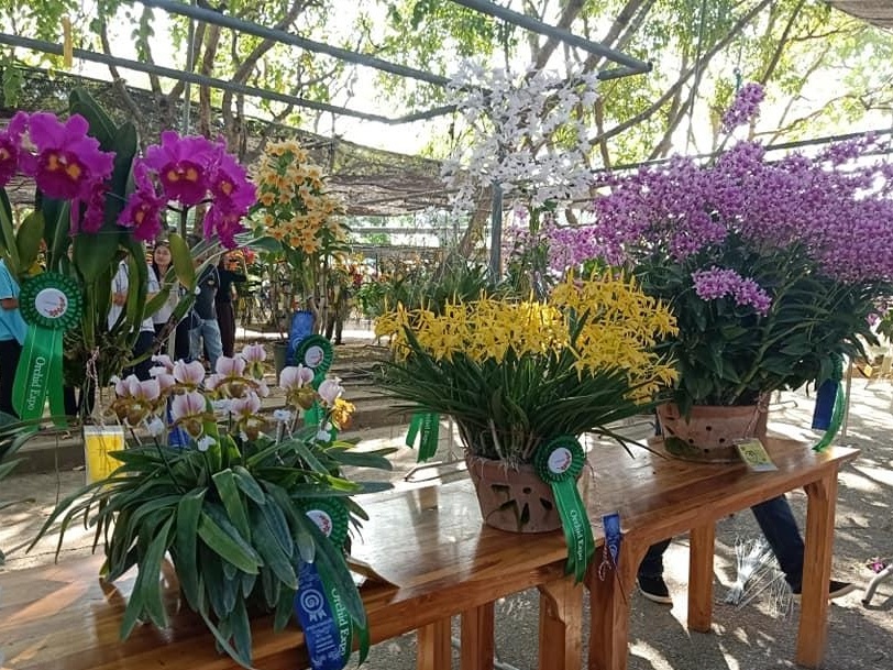 Cong ty Me Lan chia se cach cham soc hoa cho nguoi moi choi hinh anh