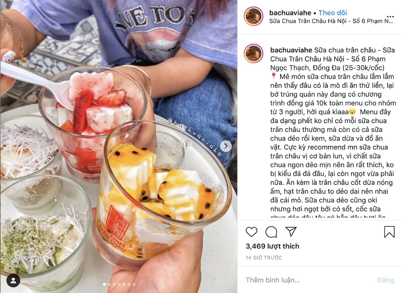 Sua chua tran chau Ha Noi anh 1