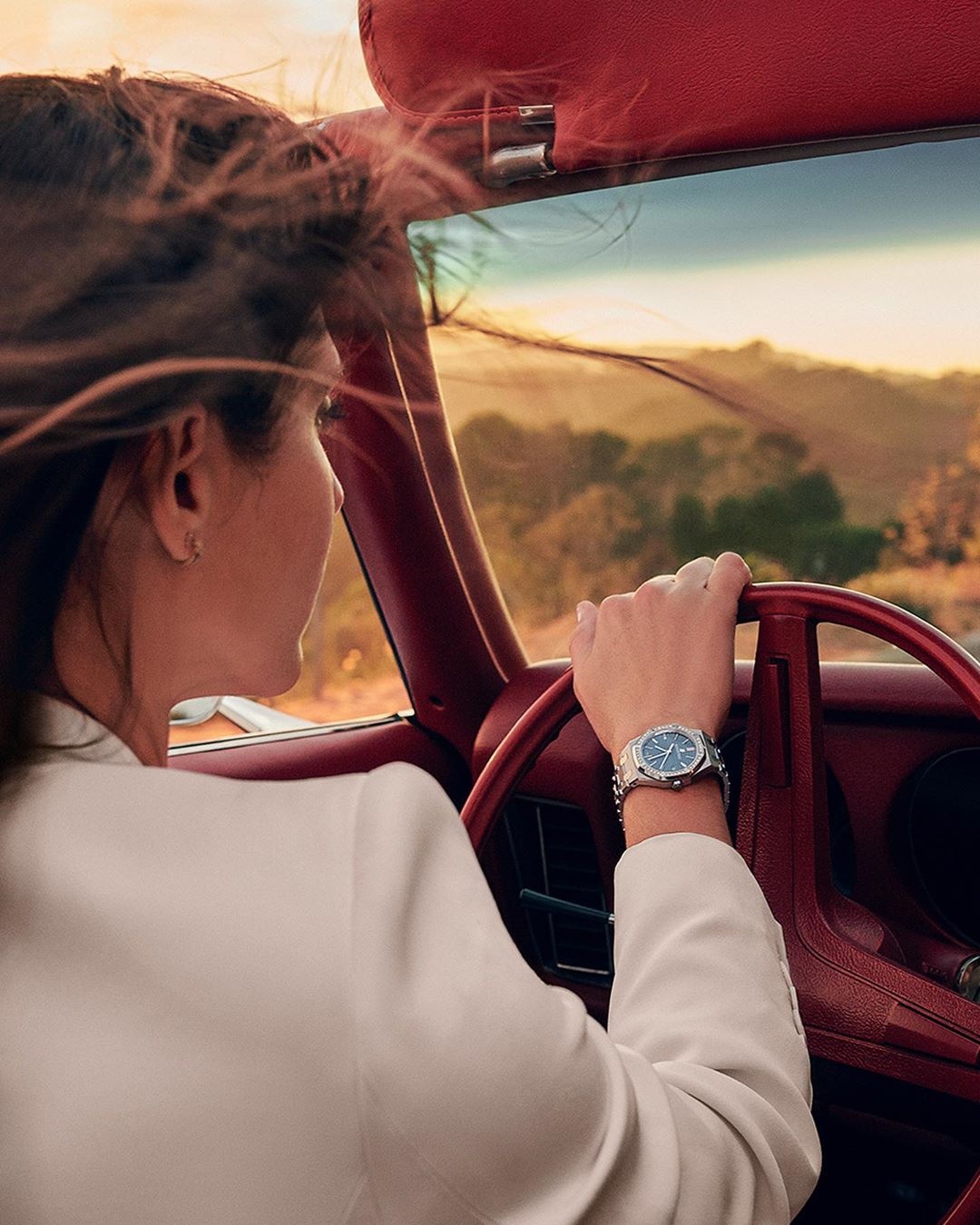 Audemars Piguet anh 1