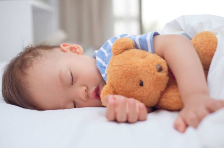 NutiFood Diamond anh 2